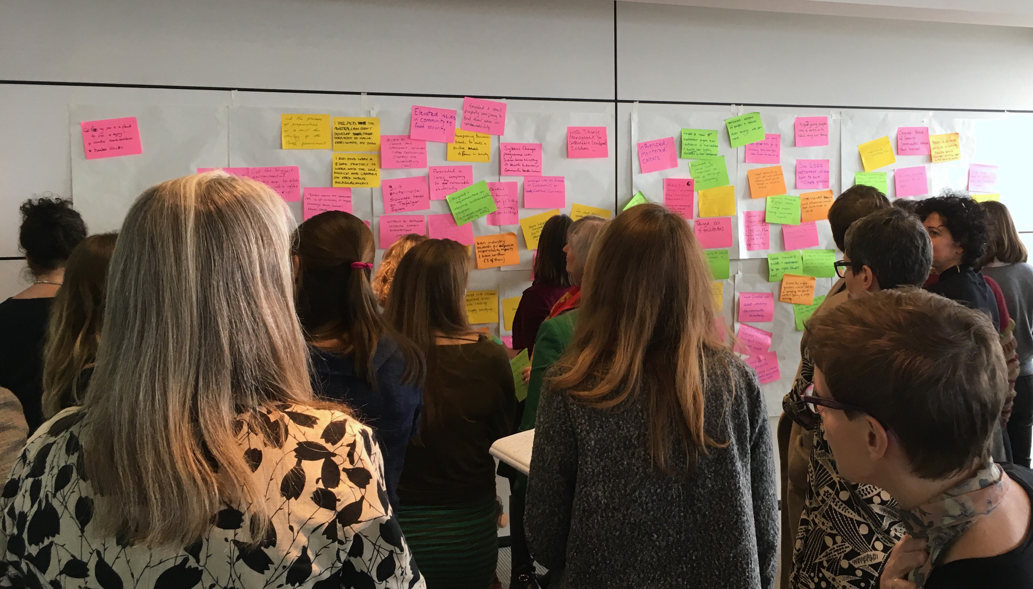 browsing wonderwall (2)